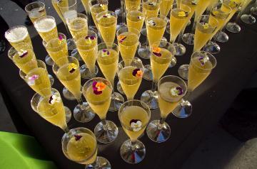 table full of chilled glasses with golden liquid and flowers